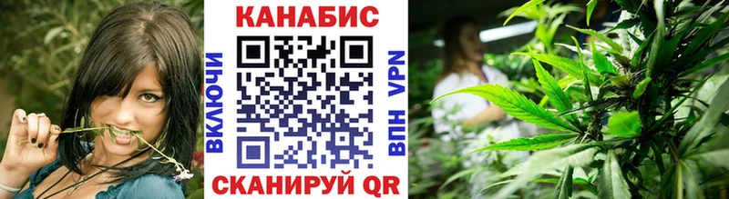 Купить где  Муравленко  Шишки марихуана планчик 